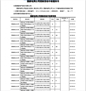 國網(wǎng)中標