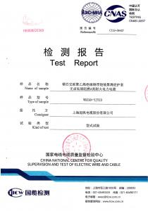 產品檢驗報告